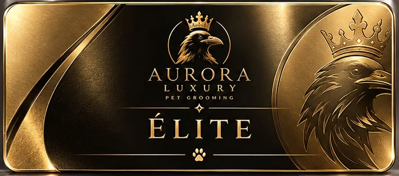 Élite membership card